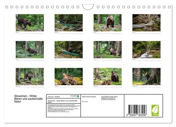 Produktbild: Slowenien - Wilde B&auml;ren und zauberhafte Natur (Wandkalender 2026 DIN A4 quer), CALVENDO Monatskalender