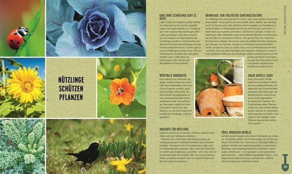 Produktbild: Ackerhelden - Biog&auml;rtnern f&uuml;r Einsteiger