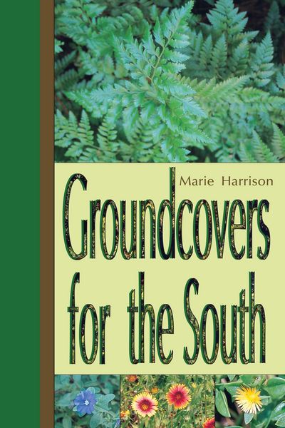 Produktbild: Groundcovers for the South