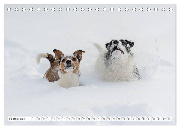 Produktbild: Emotionale Momente: Wild und Jagd. (Tischkalender 2026 DIN A5 quer), CALVENDO Monatskalender
