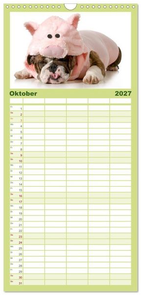 Produktbild: Familienplaner 2027 - English Bulldog XXL Models mit 5 Spalten (Wandkalender, 21 x 45 cm) CALVENDO