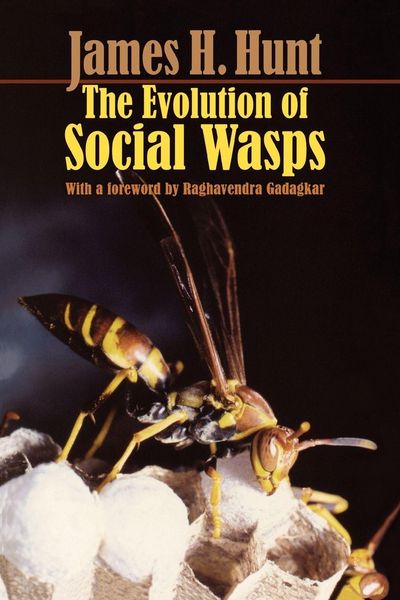 Oxford Academic The Evolution of Social Wasps