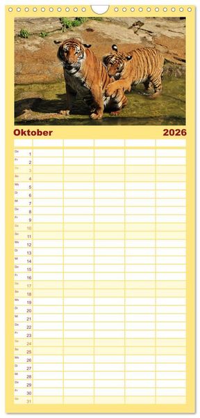 Produktbild: Familienplaner 2026 - Tiger mit 5 Spalten (Wandkalender, 21 x 45 cm) CALVENDO