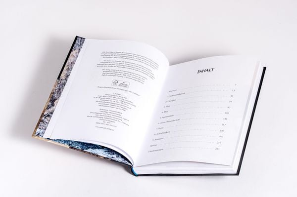 Produktbild: Mein Leben als letzter Wikinger