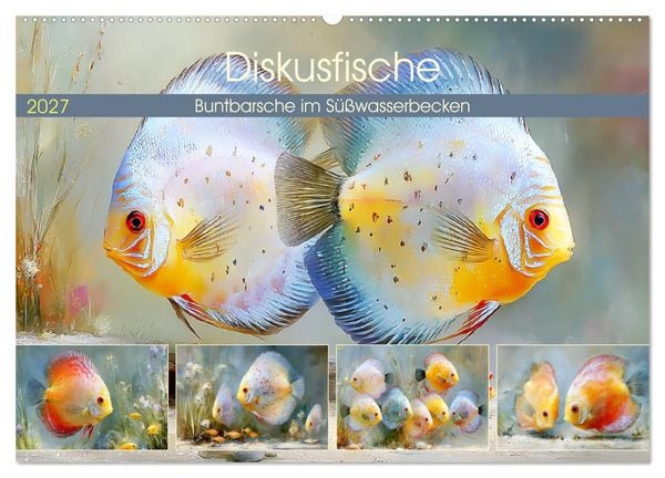 Produktbild: Diskusfische. Buntbarsche im S&uuml;&szlig;wasserbecken (Wandkalender 2027 DIN A2 quer), CALVENDO Monatskalender