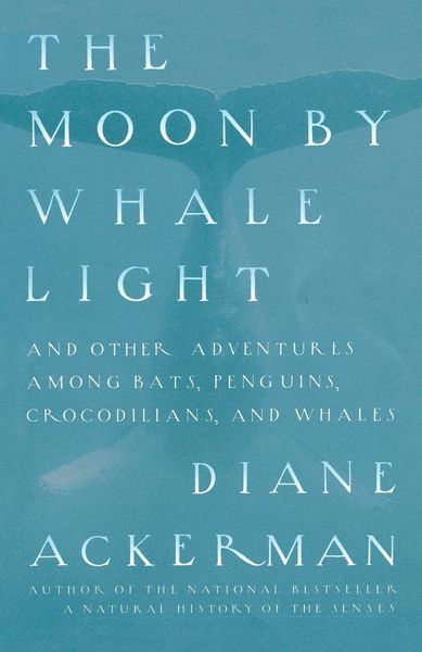 Produktbild: Moon By Whale Light