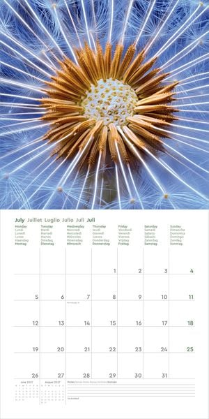 Produktbild: Wunderwerk Natur &ndash; Bizarre Strukturen - KUNTH Broschurkalender 2027