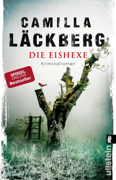 Die Eishexe, Taschenbuch von Camilla Läckberg, Ullstein Taschenbuch