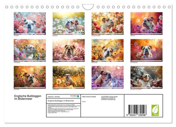 Produktbild: Englische Bulldoggen im Bl&uuml;tenmeer (Wandkalender 2026 DIN A4 quer), CALVENDO Monatskalender