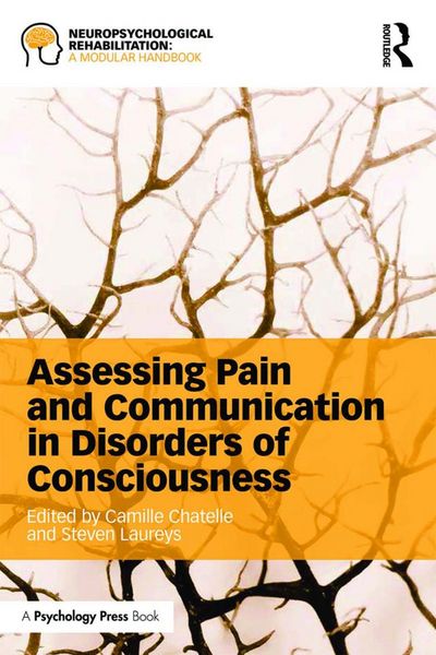 Produktbild: Assessing Pain and Communication in Disorders of Consciousness