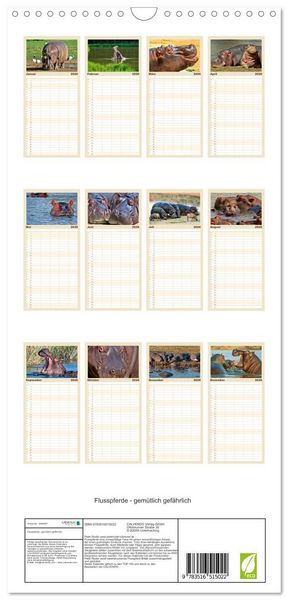 Produktbild: Familienplaner 2026 - Flusspferde - gem&uuml;tlich gef&auml;hrlich mit 5 Spalten (Wandkalender, 21 x 45 cm) CALVENDO