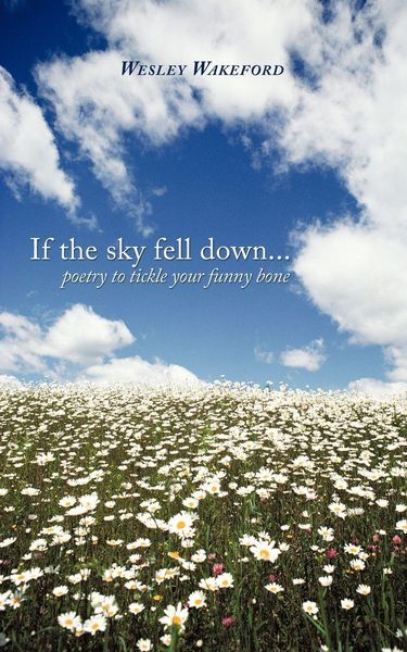 Produktbild: If the sky fell down...