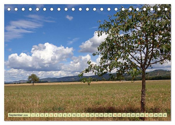 Produktbild: Weinregion Bergstra&szlig;e Burgen, Wein und Mandelbl&uuml;te (Tischkalender 2026 DIN A5 quer), CALVENDO Monatskalender