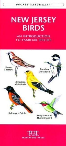 Produktbild: Caribbean Birds