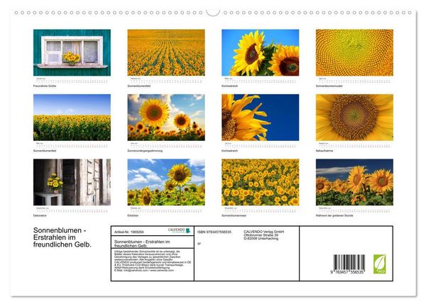 Produktbild: Sonnenblumen - Erstrahlen im freundlichen Gelb. (hochwertiger Premium Wandkalender 2026 DIN A2 quer), Kunstdruck in Hochglanz