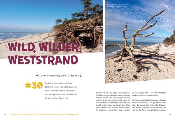 Produktbild: 52 kleine & gro&szlig;e Eskapaden in Mecklenburg-Vorpommern an der Ostsee