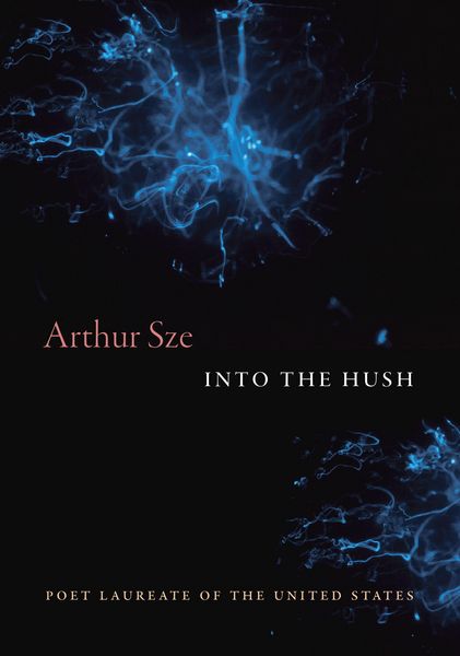 Produktbild: Into the Hush