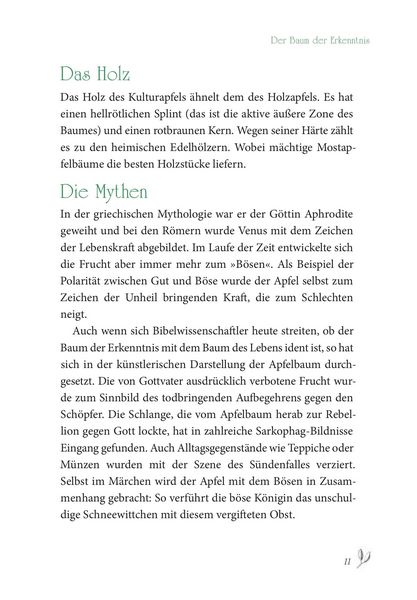 Produktbild: Baumhoroskop der Kelten