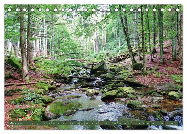 Produktbild: Wandererlebnisse im Bayrischen Wald (Tischkalender 2026 DIN A5 quer), CALVENDO Monatskalender
