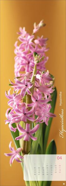 Produktbild: Magic Flowers Vertical Kalender 2027