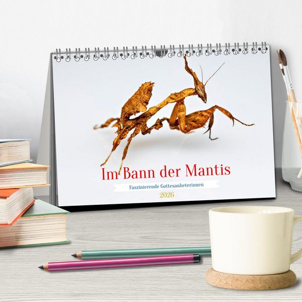 Produktbild: Im Bann der Mantis (Tischkalender 2026 DIN A5 quer), CALVENDO Monatskalender