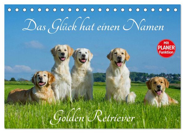Das Glück hat einen Namen - Golden Retriever (Tischkalender 2026 DIN A5 quer), CALVENDO Monatskalender