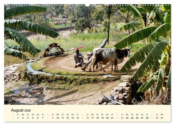 Produktbild: Alltagsleben in Indien (hochwertiger Premium Wandkalender 2026 DIN A2 quer), Kunstdruck in Hochglanz