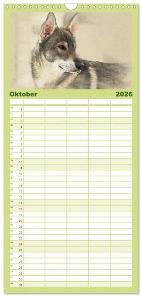 Produktbild: Familienplaner 2026 - Schlittenhunde 2026 mit 5 Spalten (Wandkalender, 21 x 45 cm) CALVENDO