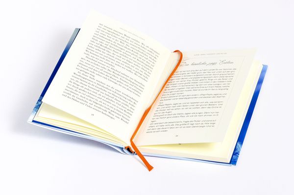 Produktbild: Die Rauhn&auml;chte und der Zauber des Wandels