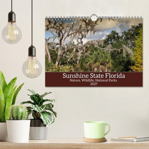 Produktbild: Sunshine State Florida Nature, Wildlife, National Parks (Wall Calendar 2027 DIN A4 landscape), CALVENDO 12 Month Wall Calendar