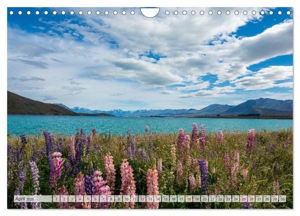 Produktbild: Breathtaking New Zealand (Wall Calendar 2026 DIN A4 landscape), CALVENDO 12 Month Wall Calendar