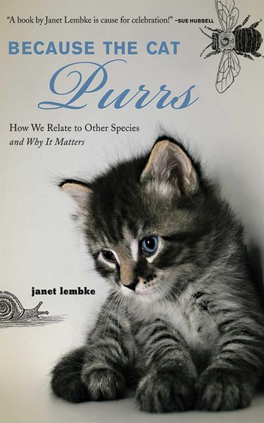 Produktbild: Because the Cat Purrs