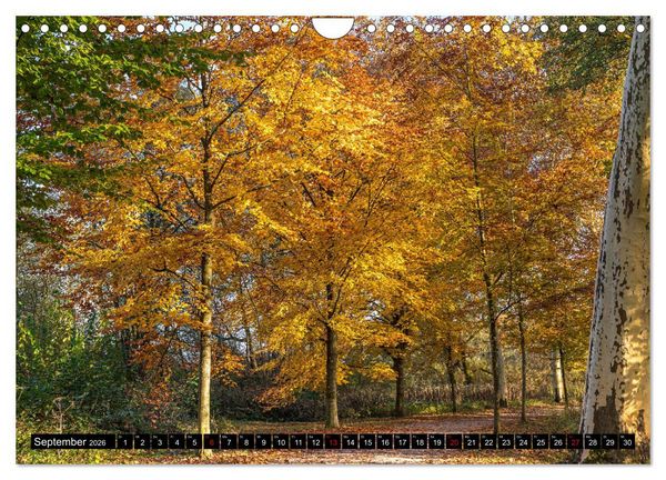 Produktbild: Herbst rund um den Bodensee (Wandkalender 2026 DIN A4 quer), CALVENDO Monatskalender