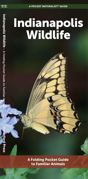 Produktbild: Indianapolis Wildlife