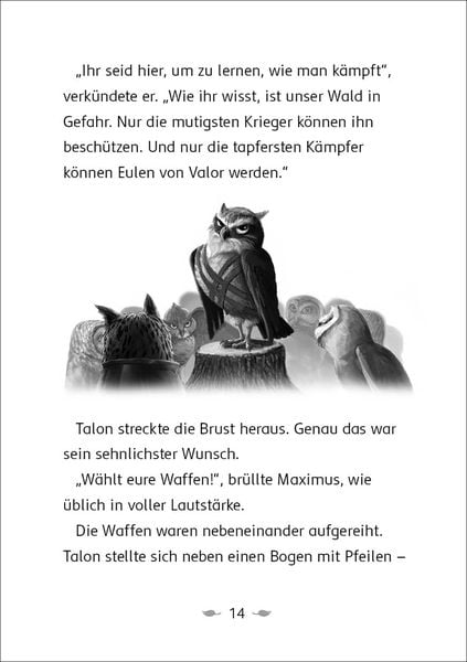 Der letzte Feuerfalke und der Stein der Macht (Band 1)