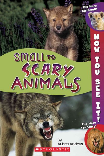 Produktbild: Now You See It Small To Scary