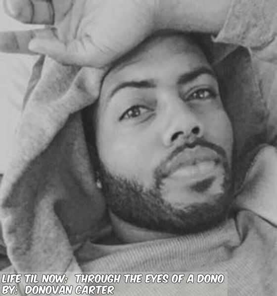 Produktbild: Life Til Now: Through the Eyes of a Dono