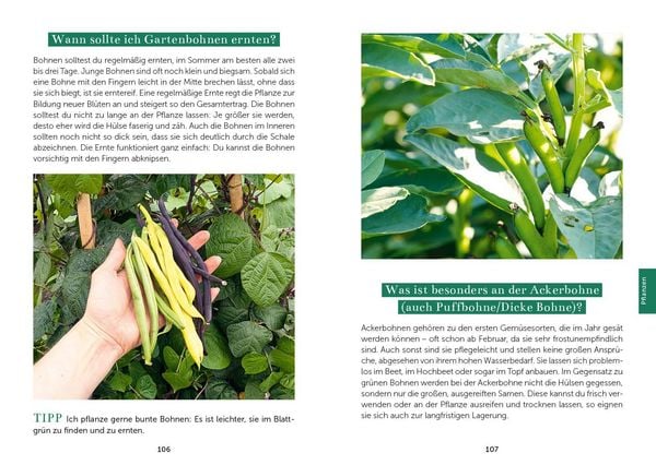 Produktbild: Das Gem&uuml;segarten 1 x 1