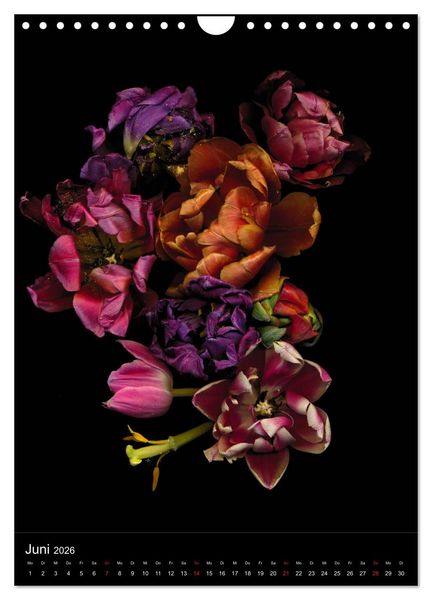 Produktbild: Blumen bei Nacht (Wandkalender 2026 DIN A4 hoch), CALVENDO Monatskalender