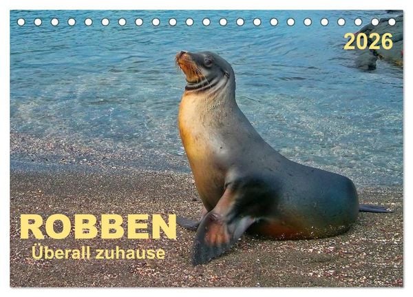 Produktbild: Robben - &uuml;berall zuhause (Tischkalender 2026 DIN A5 quer), CALVENDO Monatskalender
