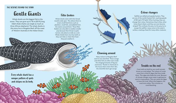 Produktbild: Secrets of the Ocean