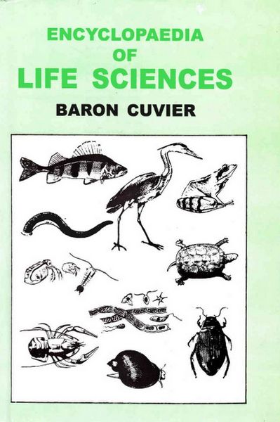 Produktbild: Encyclopaedia of Life Sciences (Classes Annelida, Curstacea and Arachnida)