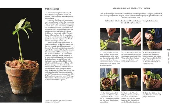 Produktbild: Urban Jungle Style
