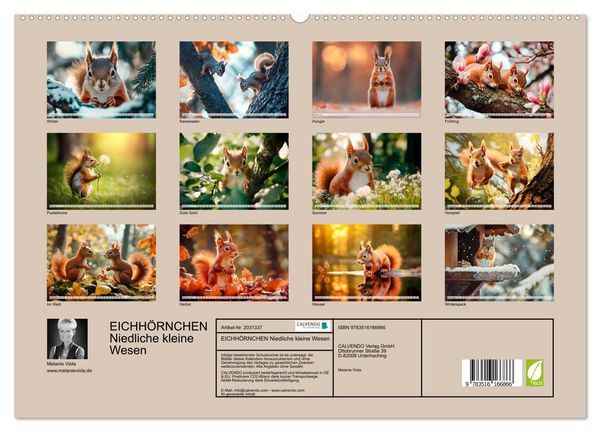 Produktbild: EICHH&Ouml;RNCHEN Niedliche kleine Wesen (hochwertiger Premium Wandkalender 2026 DIN A2 quer), Kunstdruck in Hochglanz