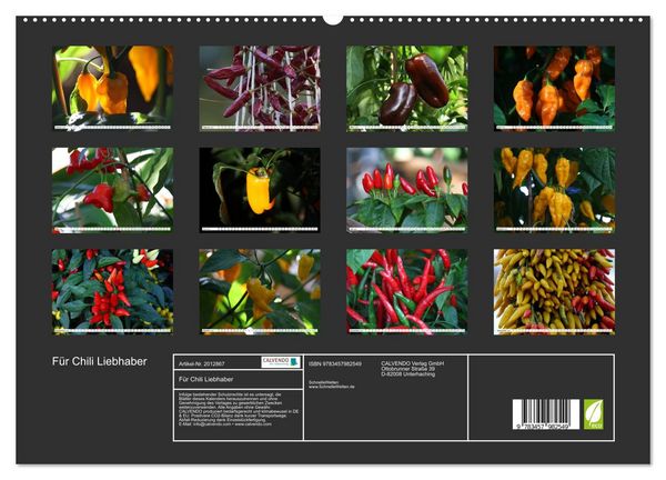 Produktbild: F&uuml;r Chili Liebhaber (hochwertiger Premium Wandkalender 2026 DIN A2 quer), Kunstdruck in Hochglanz