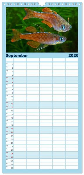 Produktbild: Familienplaner 2026 - Beliebte Fische der Welt mit 5 Spalten (Wandkalender, 21 x 45 cm) CALVENDO