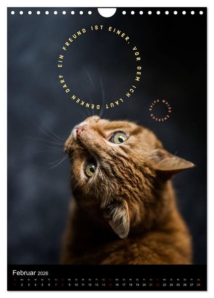 Produktbild: Freundschaft Weisheiten und Zitate (Wandkalender 2026 DIN A4 hoch), CALVENDO Monatskalender