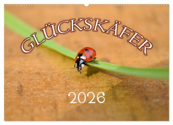 Produktbild: Marienk&auml;fer 2026 (Wandkalender 2026 DIN A2 quer), CALVENDO Monatskalender