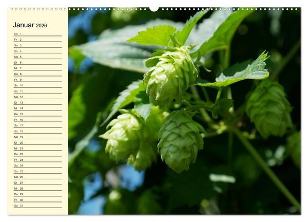 Produktbild: Bier. Die Kunst des Bierbrauens. Impressionen (Wandkalender 2026 DIN A2 quer), CALVENDO Monatskalender