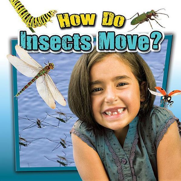 Produktbild: How Do Insects Move?